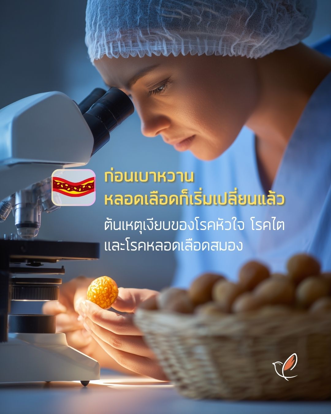 dm 02 blood vessels begin change diabetes endocrine health cheery chirpy wellcheck