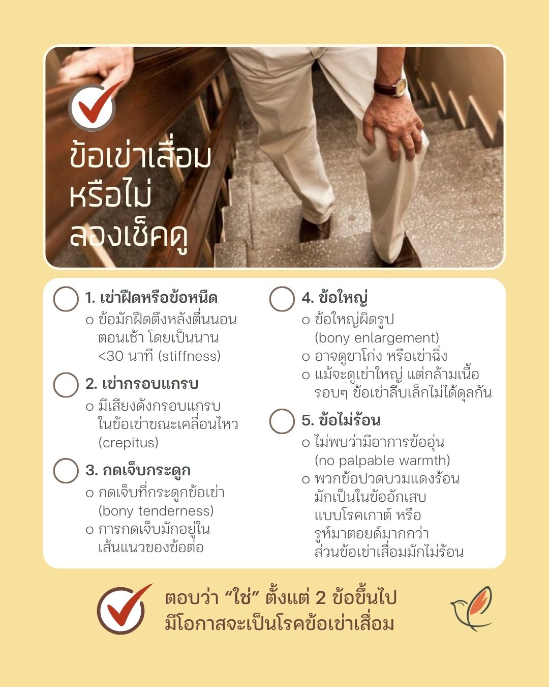 osteoarthritis 01 16 bone joint muscle rehabilitation health cheery chirpy wellcheck